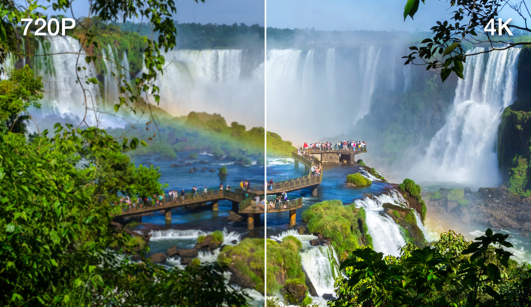 卓越高畫質輸出